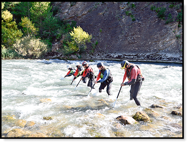 Curso de rescate